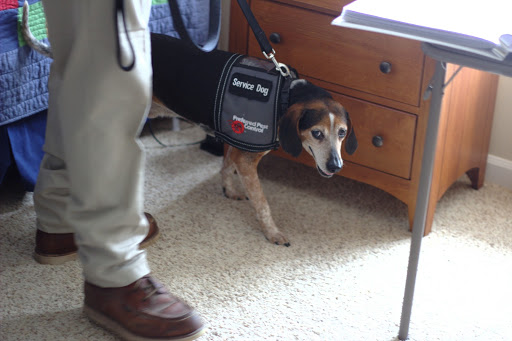 Preferred Pest Bed Bug Detection Dogs bed bug detection dogs